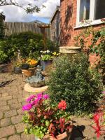 The Buttery - B&B