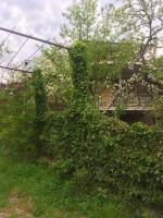 Nino's Veranda Apartment - B&B