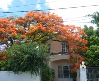 Villa Sirandane - Bed and Breakfast Baie du Tombeau