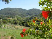 Agriturismo Le Catre - Ferienwohnung