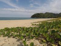 Prumirim Camping & Chalés - B&B