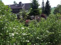 B&B Kurort Oberwiesenthal - Ferienwohnung Aronia Garten - Bed and Breakfast Kurort Oberwiesenthal