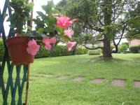 Prato Verde - Girasole - B&B San Felice del Benaco