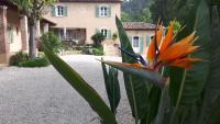 Bastide Du Maoupas Gîtes - Ferienwohnung