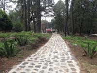 Hotel Villas Monteli Suites Cuernavaca - B&B Cuernavaca