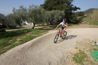 Residence il Mandorlo - B&B Lacona