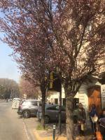 B&B la casa di Arturo - B&B Torino