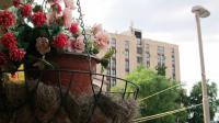Apartment Ruža - B&B Kladovo