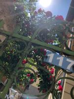 Modern & Old - Bed and Breakfast