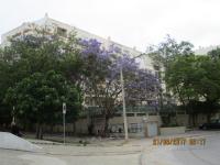Edificio Caravela C - Chambres d’hôtes