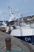 Appartement cosy bord de mer - B&B Port-en-Bessin-Huppain