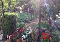 Apartman Lora - B&B