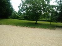 B&B Il Pittore - B&B Borgo San Lorenzo