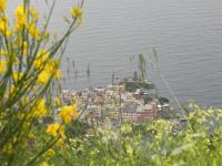 Cà gialla de Drignana - Ferienwohnung