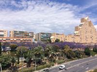 Apartment near the beach - B&B Alicante