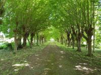 Domaine du Manoir de Vains - B&B Vains