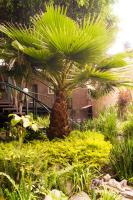 Suite 4A, Terraza, Garden House, Welcome to San Angel - Chambres d'hôtes Mexico