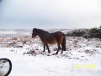 Log Cabin with Hot Tub (2 Adults)