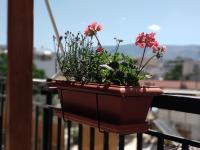 Helen house - B&B Athens