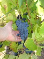 Chambre d'hôtes Les Plaisances - B&B Saint-Julien