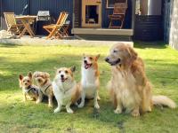 Casa con 1 Camera da Letto e Giardino