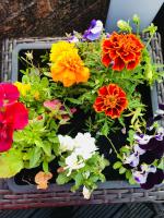 Habitación Doble con balcón 