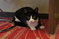 Hotel Sankyu - B&B Tsukuba