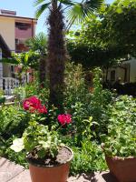 B&B Star Dojran - Apartments Ana - Bed and Breakfast Star Dojran