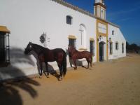 Hacienda La Indiana - Bed and Breakfast