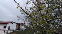 Apartamentos El Llanin - Bed and Breakfast