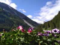 Habitación Doble con balcón 