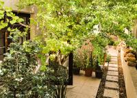 Wessels House Studio - B&B Ciudad del Cabo