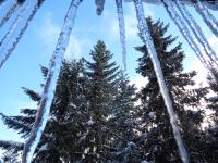 Casa con 1 dormitorio