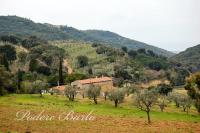 Podere Barlo - B&B Campiglia Marittima