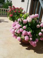 Azure Adriatic - Ferienwohnung Kotor