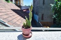 Cosmopolitan Apartment - Ferienwohnung Belgrad