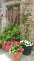 Fonda Felip - B&B