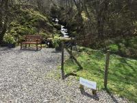 Burn View - B&B Stronachlachar