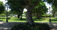 San Isidro apartment - B&B