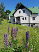 B&B Špindlerův Mlýn - U Kobrů - Bed and Breakfast Špindlerův Mlýn