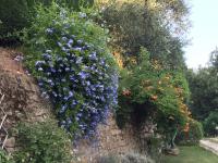 Villa met Uitzicht op de Tuin