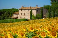 B&B San Terenziano - Agriturismo Casale Dei Frontini - Bed and Breakfast San Terenziano