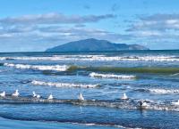 Otaki Beachfront Getaway - B&B Otaki Beach