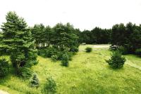 Rima's apartment - B&B Palanga