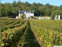 Domaine Beauséjour - B&B