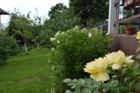 Apartman MirA - B&B Sarajevo