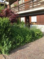 Almida - B&B Castello Molina di Fiemme