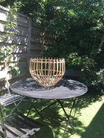 Albin le musicien - B&B Talence