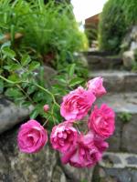 Recantto do Divino B&B - B&B