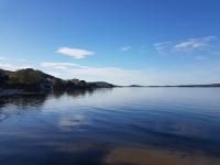 Apartments Floras - B&B Tkon